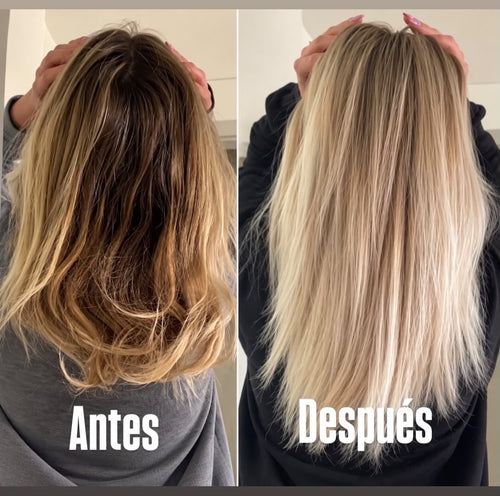 Caja 12 Piezas Ivy Color Shampoo Matizador – Especial Salones